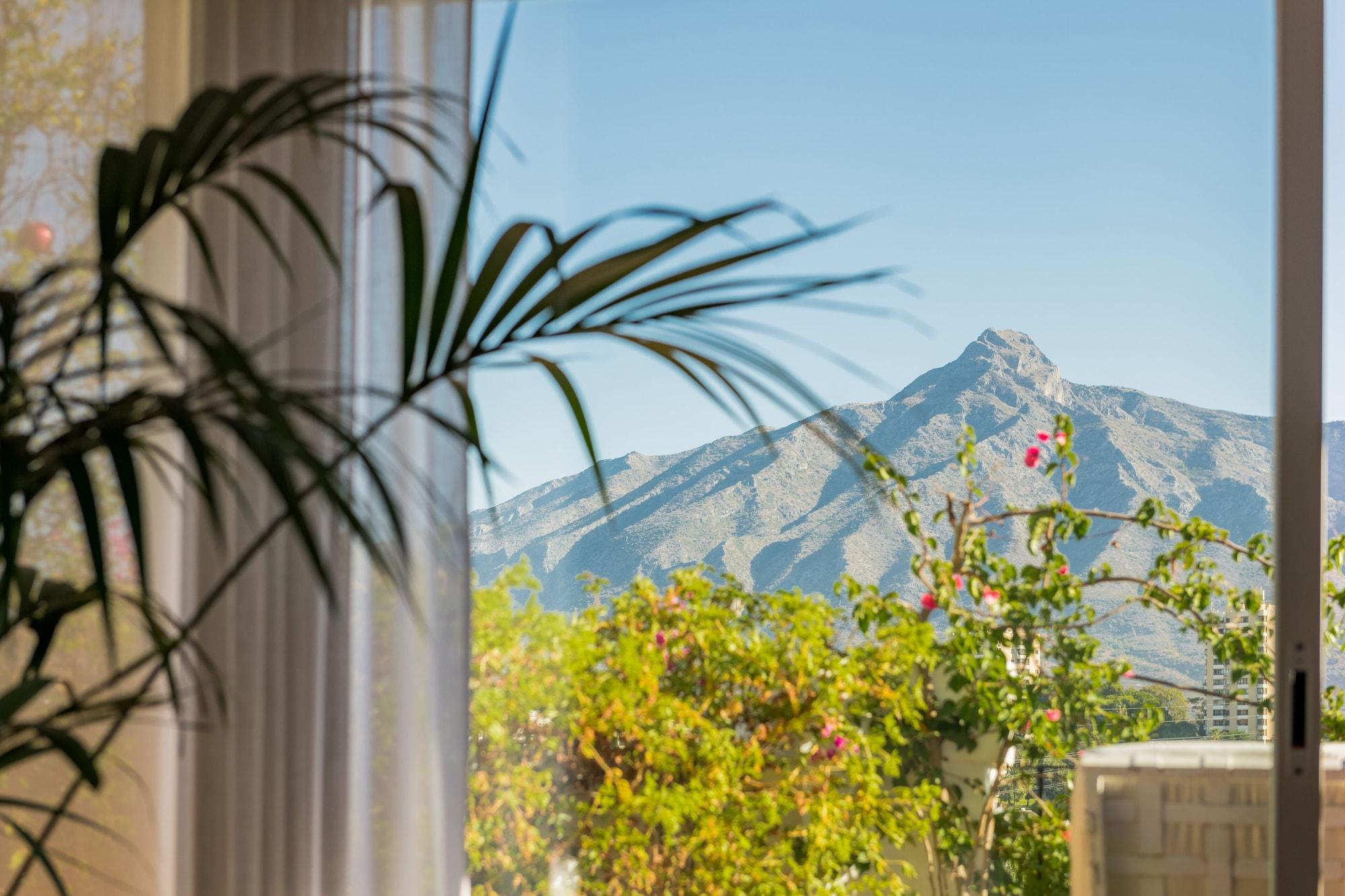 Pensión Molo 44 Puerto Banús Marbella