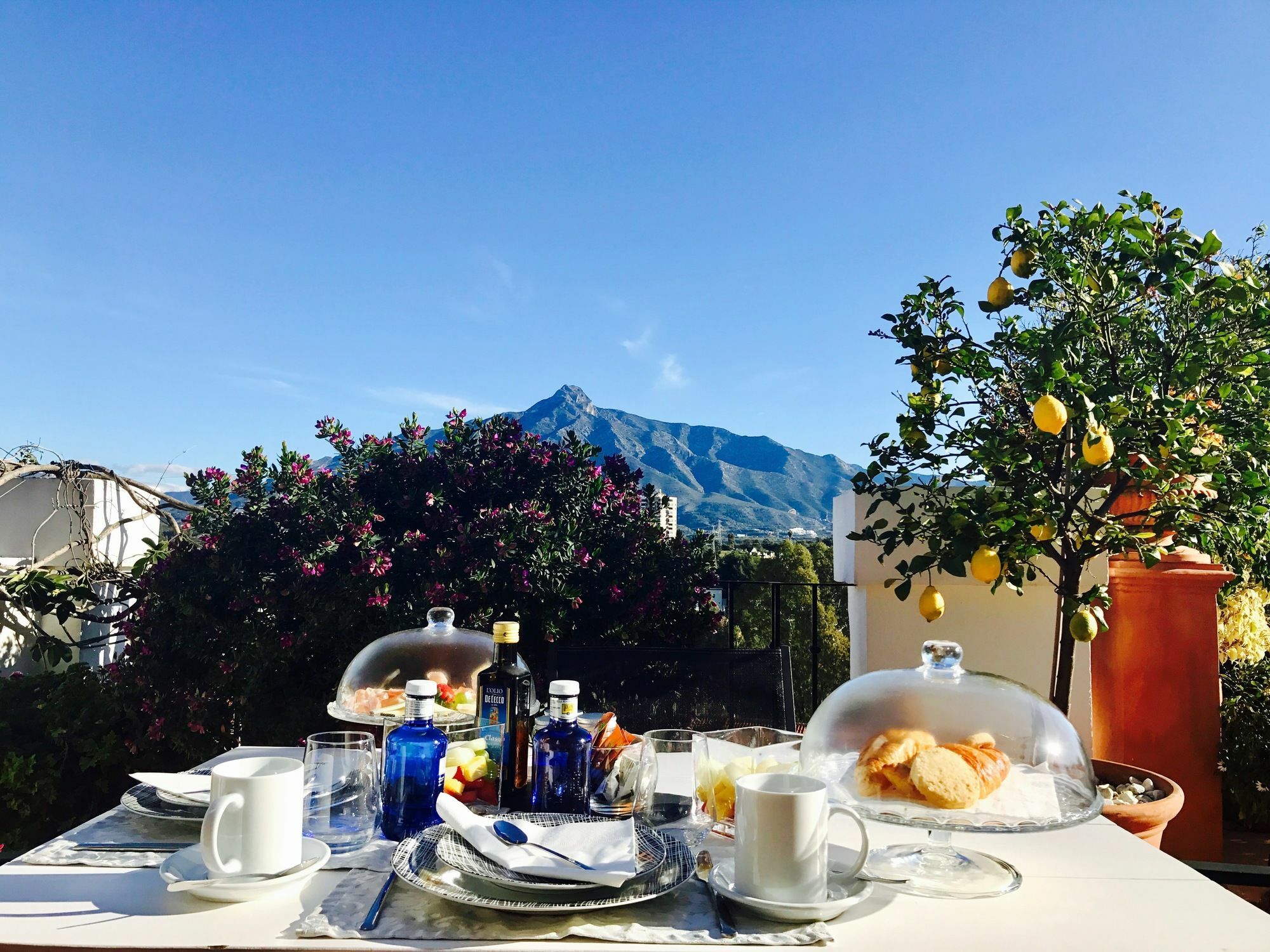 Molo 44 Puerto Banús 4* Marbella