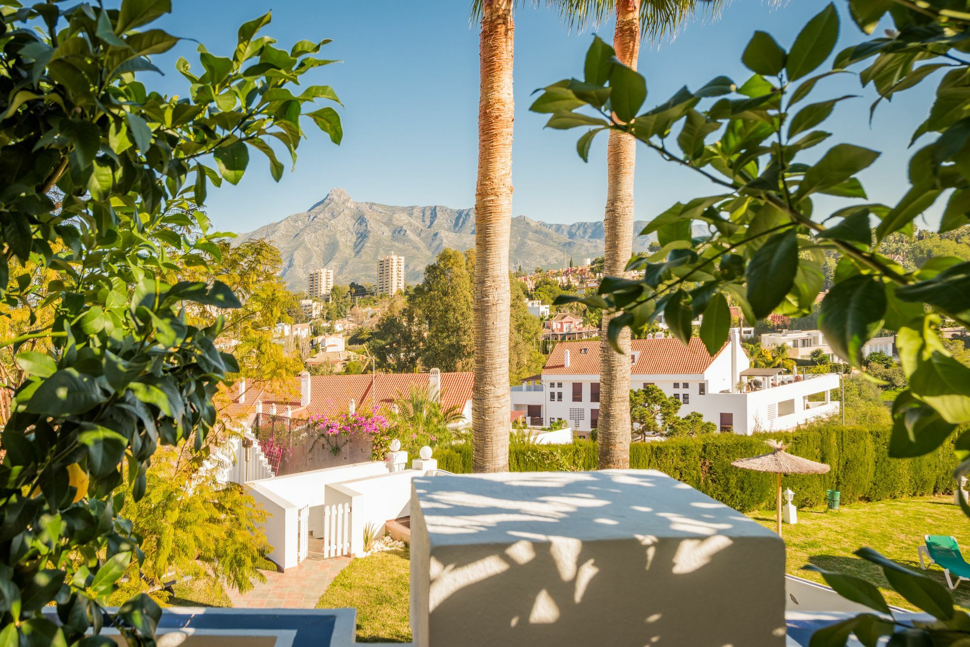 Pensión Molo 44 Puerto Banús